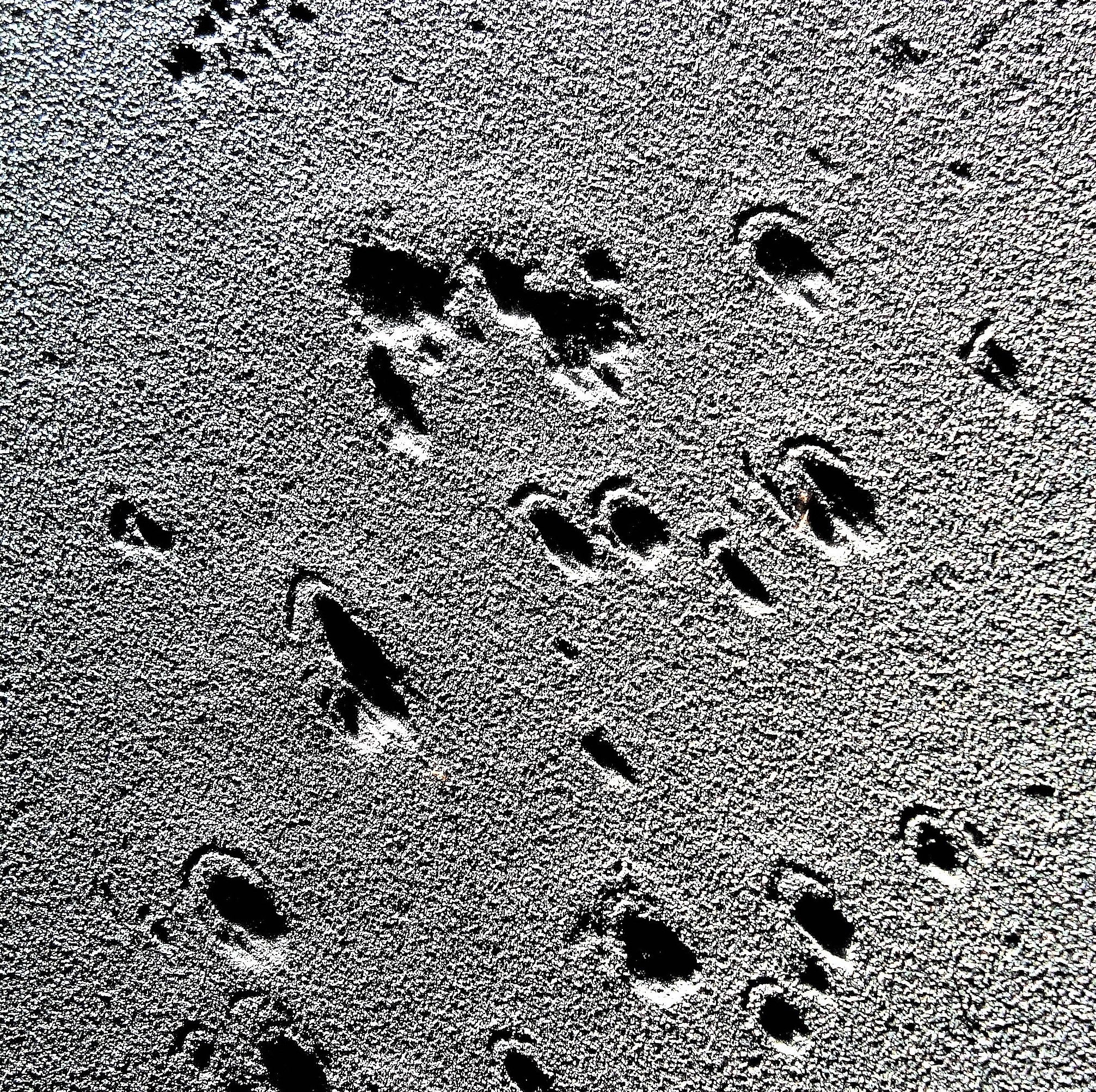 TECHNICAL INSPECTIONS OF CARGO TANKS AND SCRUBBERS